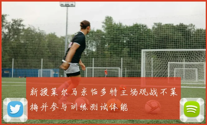 新援莱尔马亲临多特主场观战不莱梅并参与训练测试体能