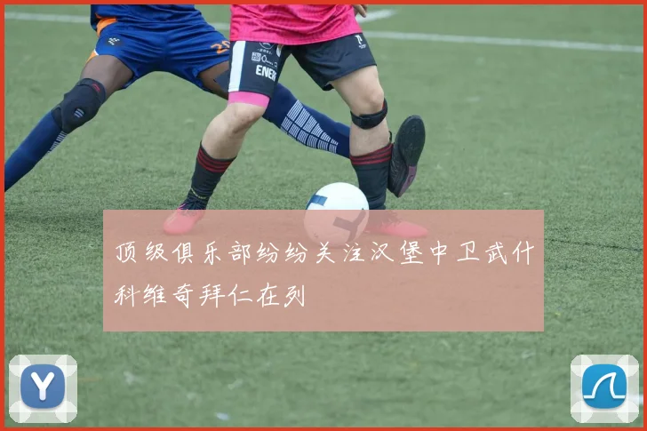 顶级俱乐部纷纷关注汉堡中卫武什科维奇拜仁在列